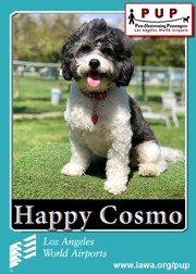 PUPs_Happy Cosmo